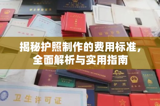 延川揭秘护照制作的费用标准，全面解析与实用指南