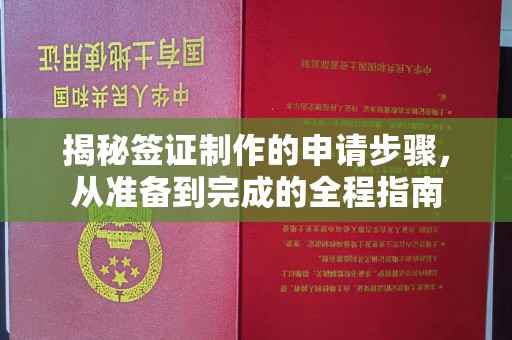 站前揭秘签证制作的申请步骤，从准备到完成的全程指南